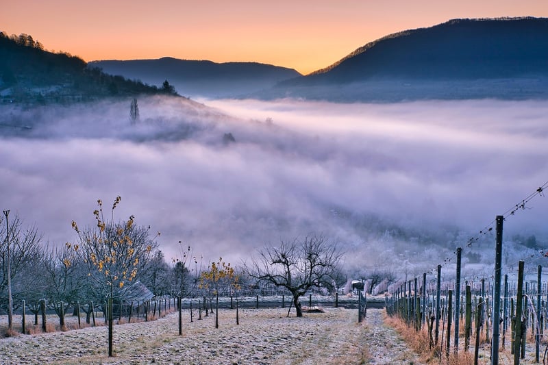 Scenic Vineyard Venue